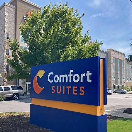 Comfort Suites North Charleston - Ashley Phosphate Ngoại thất bức ảnh